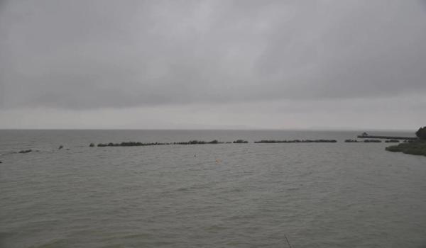 三角洲行动科技网 激活码(哪里可以领到三角洲行动的激活码?) 三角洲行动科技网 激活码(哪里可以领到三角洲行动的激活码?)