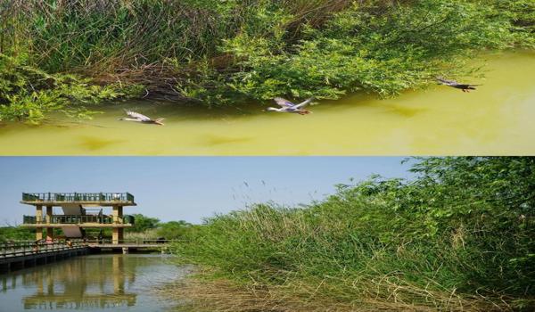 三角洲行动瞄准科技开还是关(三角洲行动瞄准科技开还是关好?) 三角洲行动瞄准科技开还是关(三角洲行动瞄准科技开还是关好?)